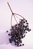 Elderberries