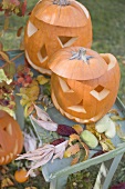 Autumnal garden decoration with pumpkins, corncobs & leaves