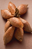 Salak fruits on brown background