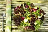 Gemischter Blattsalat mit Möhrenstreifen und Kirschtomaten