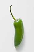 Green chilli (jalapeño)