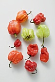 Different coloured Habanero chillies