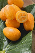 Kumquats with drops of water on leaves