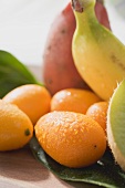 Exotic fruit still life with kumquats