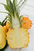 Exotisches Früchtestilleben mit Ananas