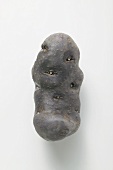 A truffle potato
