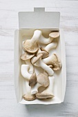 King oyster mushrooms in box (overhead view)