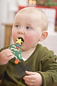 Baby biting into jelly Christmas tree