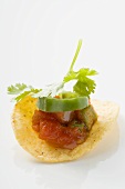 Salsa on tortilla chip (close-up)