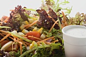 Salad leaves with vegetables and yoghurt dressing (detail)