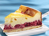 Piece of sour cherry cheesecake