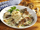 Morels and ceps in cream sauce with bread dumpling