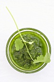 Green mojo sauce from above