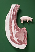 Organic pork chop and a toy pig