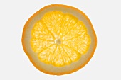 A slice of mandarin orange (backlit)