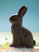 Chocolate Easter Bunny surrounded by jelly beans