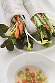 Rice paper rolls filled with vegetables & glass noodles, sauce