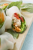 Rice paper rolls filled with chicken and vegetables (Asia)