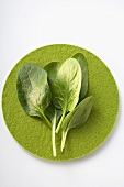 Spinach leaves on green felt circle