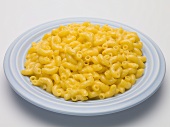 Maccheroni and cheese auf blauem Teller (USA)