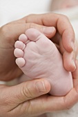 Hands holding a baby's foot