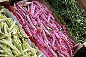 Different types of beans in boxes on a market stall