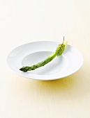 Green asparagus with beetroot leaf on plate