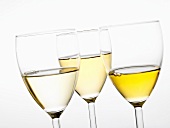 Three different white wines in glasses