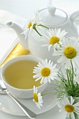 Chamomile tea and chamomile flowers