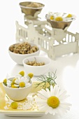 Chamomile flowers, fresh, dried and globuli, with scales