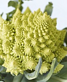 Romanesco broccoli