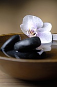 Healing stones and orchid in bowl of water
