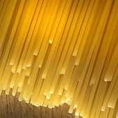 Spaghetti (detail)