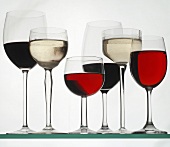 Glasses of different wines