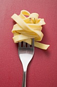 Cooked ribbon pasta on a fork