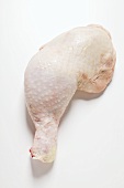 Fresh chicken leg