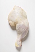 A chicken leg