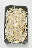 Fresh sprouts in polystyrene tray