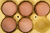 Five eggs in egg box (overhead view)