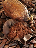 Kakaofrucht, Kakaobohnen und Kakaopulver