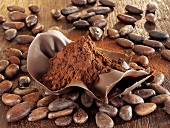 Cocoa powder in chocolate shell, cocoa beans