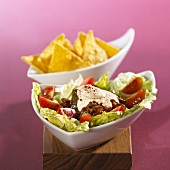 Vegetable salad with sour cream and nachos (Mexico)