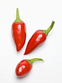 Three red chillies