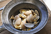 Cooked shellfish (Thailand)