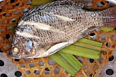 Steamed tilapia