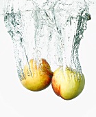 Two nectarines falling into water