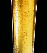 Glass of pils with condensation (detail)