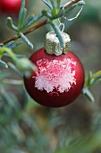 Christmas bauble with hoar frost on fir tree