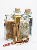 Various spices in spice bottles and cinnamon sticks