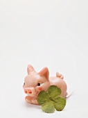 Marzipan pig and four-leaf clover